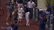 mil GIF by MLB