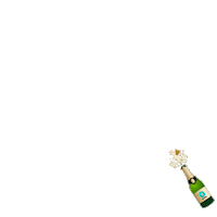 fiesta champagne Sticker by MAPA