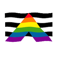 Pride Flag Sticker by Flags For Good