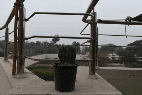 mrdarcilite giphyupload GIF