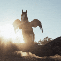 Super Bowl Eagle GIF by Budweiser