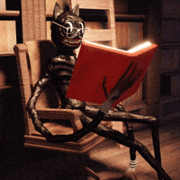 Black Cat GIF