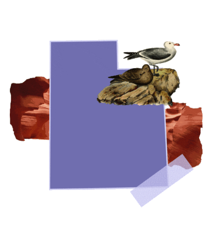 States Reaction Sticker by Crooked Media