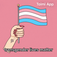 Trans Rights GIF by Taimi