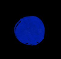 Peace Earth GIF by yesmemaze