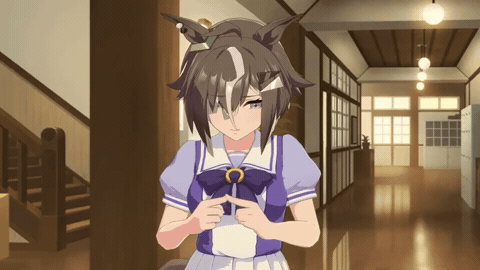Umamusume Ship GIF