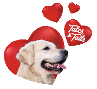 heart tnt Sticker by Tales&Tails