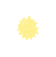 SunbridgeFL summer fire flower star Sticker