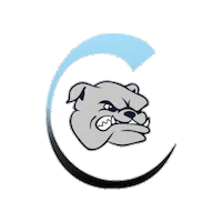 carrollbulldogs carrollbulldogs carrollhigh archbishopcarroll carrollathletics Sticker