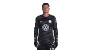 Pavao Pervan Thumbs Up Sticker by VfL Wolfsburg