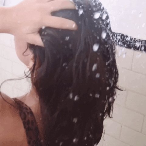 merodeapr giphygifmaker GIF