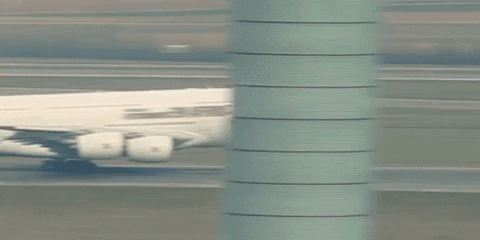 JeanClaudeDus giphyupload GIF