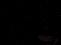 Alanis Morissette 90S GIF