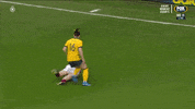 Hayley Raso GIF by Football Australia