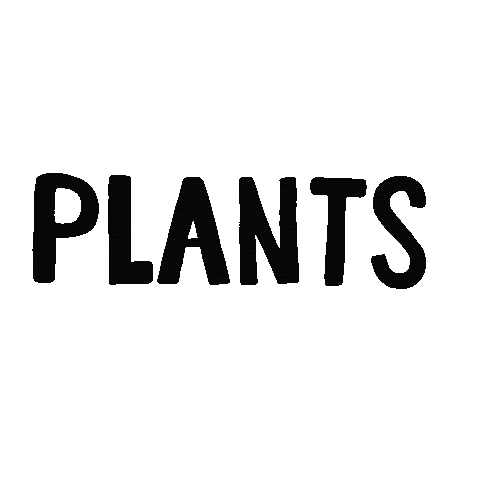 Himanndy giphyupload flower green plants Sticker