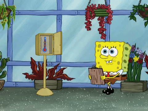 season 8 episode 13 GIF by SpongeBob SquarePants