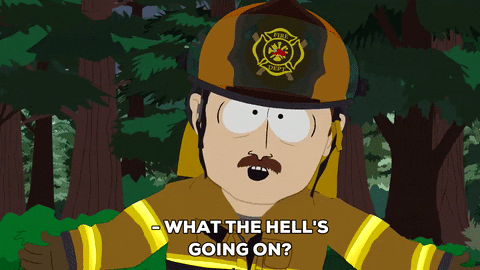 trees questioning GIF by South Park 