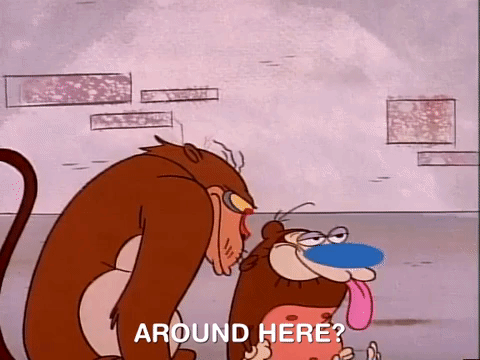ren and stimpy nicksplat GIF