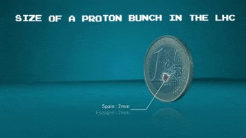 GIF by CERN