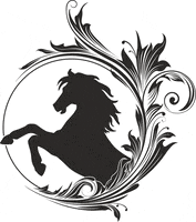 Horse Dressage GIF by Equestrian Queen