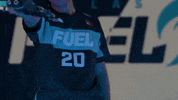 Owl Dallas GIF by Envy