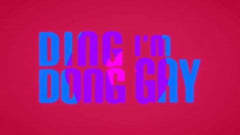 Ding Dong Comedy GIF by Ding Dong I'm Gay