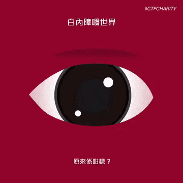 FevaWorks giphyupload GIF