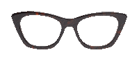 Try On Dan Levy Sticker by DL Eyewear