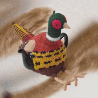 British Countryside Bird GIF by TeaCosyFolk