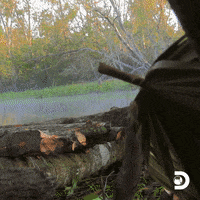 Naked And Afraid Survival GIF by Discovery