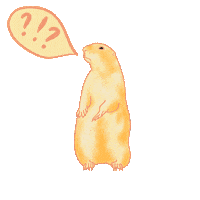 cute animal what Sticker by Hacklock