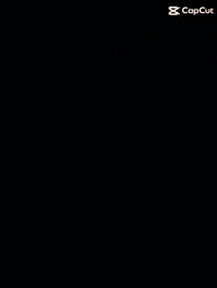 Miami Canes GIF