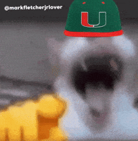 Miami Son GIF