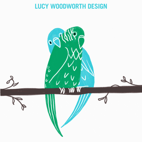 Love Birds Cat GIF by Lucy Woodworth Design