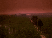 Film Lake GIF