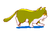 Cat Love Sticker by ramona kruger