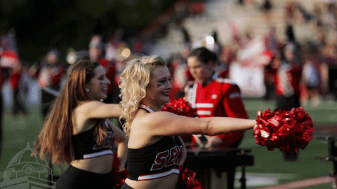 football cheer GIF by SEMissouriState