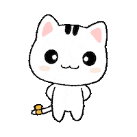 No Sticker