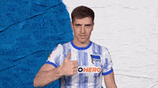 Bundesliga Berlin GIF by Hertha BSC