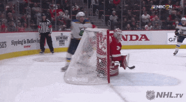 celebrate ice hockey GIF by NHL