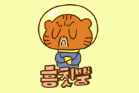 흥칫뿡