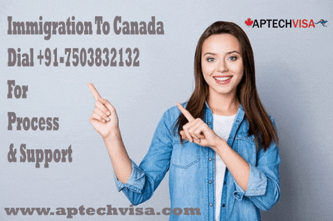 aptechvisa giphyupload canada immigration canada immigration eligibility canada immigration points GIF