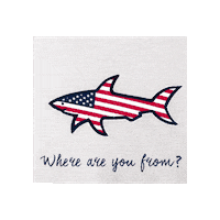 Usa Where Are You From Sticker by Paul&Shark