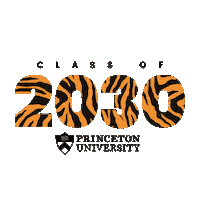 Princeton 2030 Sticker by Princeton University