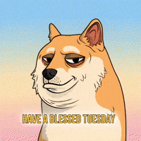 Sarcastic Shiba Inu GIF by Doge Pound