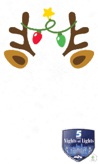 Christmas Snow Sticker by WRAL News