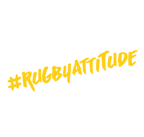 Belgium_Rugby giphyupload rugby check attitude Sticker