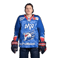 Leon Gawanke Sticker by Adler Mannheim
