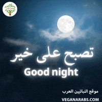 Good Night Bedtime GIF by VeganArabs