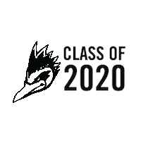 Celebration Graduation Sticker by elcentrocollege